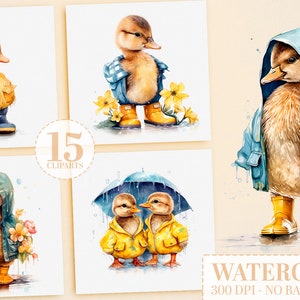 Adorable Duckling Nursery Bundle: 15 Watercolor Ducklings in Rain Boots PNG, ClipArt, Printable Art Prints, Sublimation, Duckling Nursery