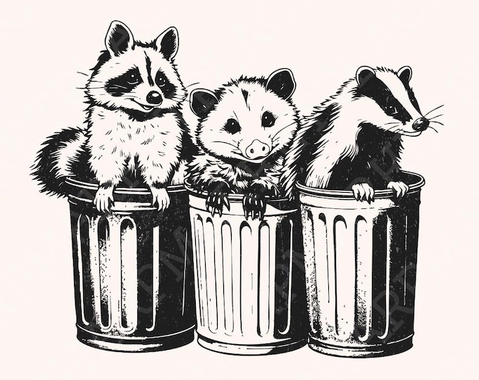 Raccoon in Trash Can PNG, Funny Trash Panda Clipart, Cute Baby Raccoon Design, Digital Download, Raccoon png Outline, Commercial Use