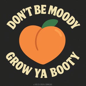 Funny Fitness PNG, Don't Be Moody Grow Ya Booty, entraînement PNG, cadeau pour amateur de gym, haltérophilie, clipart football, housse de pompe femme