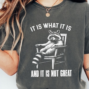 It Is What It Is, And It Is Not Great Racoon T-Shirt Design, Sarcastic Funny Graphic Tee PNG, Trending Sublimation Design, Digital Download