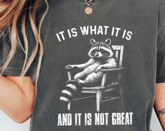 It Is What It Is, And It Is Not Great Racoon T-Shirt Design, Sarcastic Funny Graphic Tee PNG, Trending Sublimation Design, Digital Download