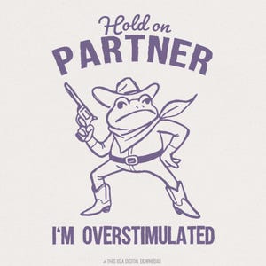 Festhalten, Partner, ich bin überreizt PNG, Lustiges Frosch Meme PNG, Cowboy Frosch PNG, Western Frosch Shirt, überreizter Frosch, Retro Frosch Shirt