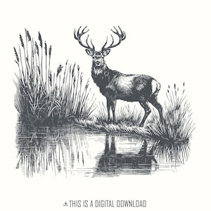 Deer PNG Design, Hunting PNG, Vintage Deer Art, Nature Camping Wildlife, Deer at Lake Image, Retro Deer, Buck PNG