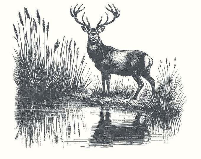 Deer PNG Design, Hunting PNG, Vintage Deer Art, Nature Camping Wildlife, Deer at Lake Image, Retro Deer, Buck PNG