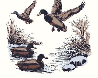 Vintage Duck PNG, Mallard Duck Clipart, Wild Duck Sublimation, Flying Ducks Hunting, Marsh PNG, Commercial Use, Digital Download