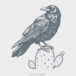 Cactus Crow PNG Download digitale, Clip art retrò vintage, Clipart succulente ad acquerello, Illustrazione della natura, Grafica stampabile, Trasparente