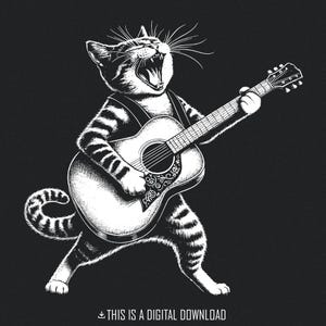 Funny Cat speelt gitaar