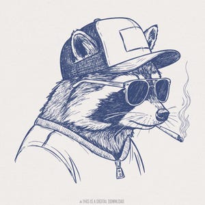 Cappello da camionista con mullet di procione in formato PNG, Animali Redneck, Rifiuti del parco roulotte, Procione in formato PNG, Panda spazzatura in formato PNG, Divertente logo del sud