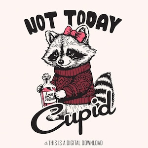 Pas aujourd'hui Cupidon drôle de raton laveur PNG, Design en sublimation de la Saint-Valentin, humour sauvage sarcastique, Saint-Valentin rétro, panda sarcastique poubelle, impertinent
