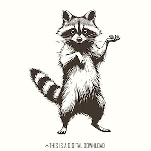 Grappig wasbeerontwerp, sarcastische vuilnispanda png, vintage dierlijke sublimatiekunst, schattig western-shirt wasbeer, meme met wilde dieren