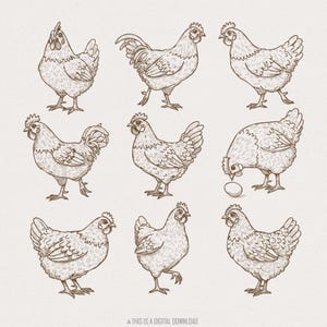Vintage Huhn-Liebhaber PNG Sublimationsdesign, Landleben digitaler Download, Retro Blumen Cottagecore, lustige Huhn Mama, Bauernhof Hahn Clipart