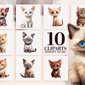 Cute Kitten Clipart Bundle, 10 Watercolor Cat Breeds, Printable Art, Sublimation PNG, Adorable Cats, Commercial Use, Instant Download