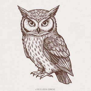 Hibou PNG, vecteur de hibou, silhouette de hibou, contour de hibou, téléchargement numérique, png pour POD, clipart hibou, hibou png, oiseau png