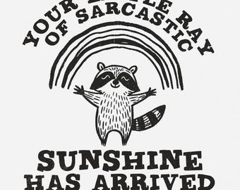 Your Little Ray Of Sarcastic Sunshine, Sarcastic png PNG, Funny Raccoon Design, Retro Raccoon Meme, Sassy Quotes, Sarcastic Shirt PNG