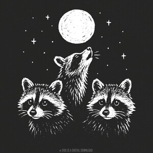 Moonlit Raccoon Trio PNG, Woodland Animal PNG, Forest Animal PNG, Hand Drawn Wildlife, Nocturnal Nature Art, Boho Star Night, Instant