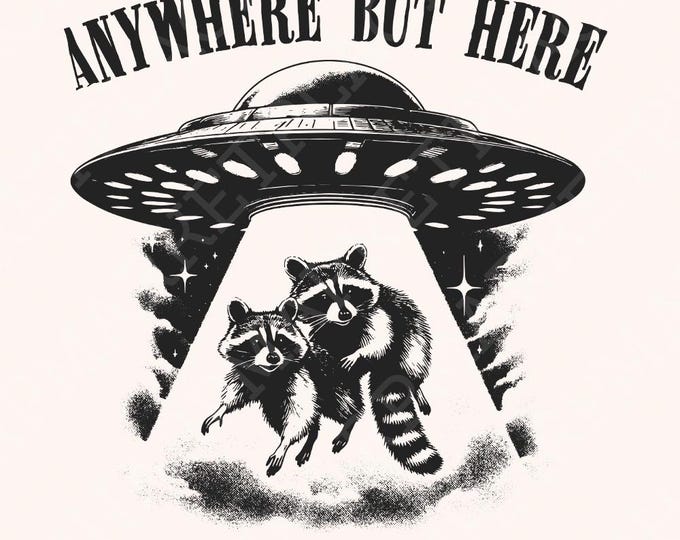 Raccoon and UFO PNG, Sarcastic Space PNG, Funny Retro Alien, Vintage Sublimation Design, Trendy Animal Lovers, Instant Download
