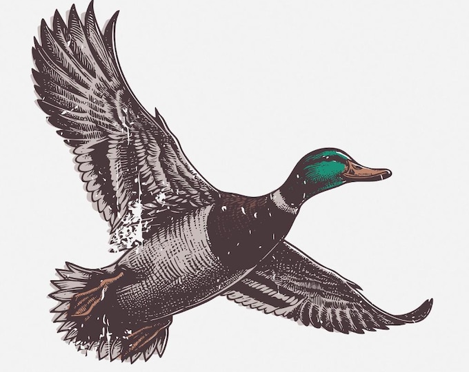 Mallard Duck PNG, Wild Duck Clipart, Flying Ducks, Duck Hunting PNG, Waterfowl PNG, Marsh png, Digital Download, Commercial Use, Sublimation