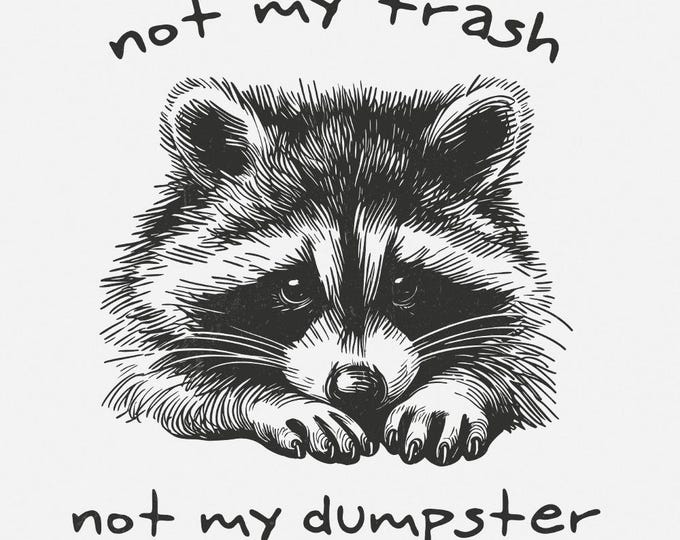 Not My Trash Not My Dumpster PNG, Funny Raccoon PNG, Sarcasm Sublimation Design, Trash Panda Humor, Sarcastic Quotes Clipart