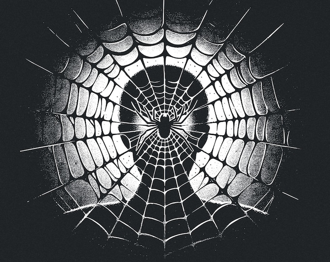 Spider Web Art PNG, Gothic Spider Design, Halloween Sublimation, Spooky Digital Art, Black and White Web, Horror Aesthetic, Creepy Decor