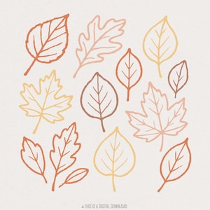 Herfstbladeren PNG, herfstbladeren PNG, handgetekende schets blad clipart, rustieke botanische illustratie, natuurkunst, aardetinten png