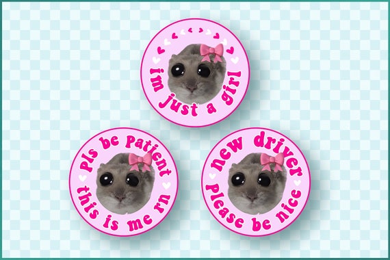 Funny hamster tiktok sale