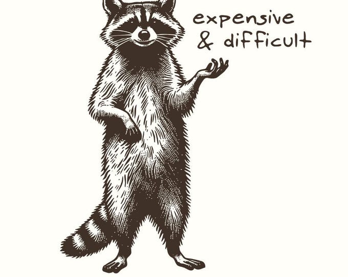 Expensive Difficult Sarcastic PNG, Funny Racoon png, Trash Panda Design, Sarcastic Funny Saying, Talks Back Png, Instant Download