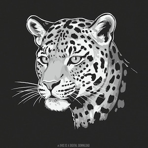 Illustrazione di leopardo, PNG di animali selvatici, design stampabile di grandi felini, clipart di leopardo monocromatico, grafica di maglietta con ritratto digitale
