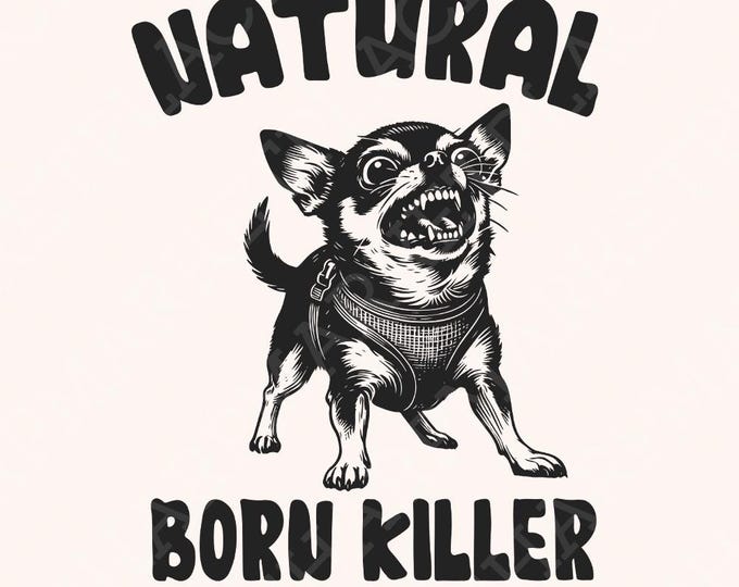 Born Killer Chihuahua PNG Clipart, Funny Dog Art, Vintage Dog Illustration, Digital Download PNG, Chihuahua Clipart, Funny Dog Design