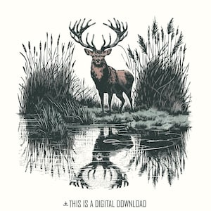 Design de sublimação de veado, caça PNG, arte vintage de veado, acampamento na natureza e vida selvagem, imagem de veado no lago, veado retrô, veado PNG