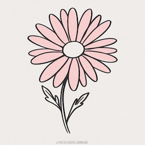 Marguerite rose fleur Clipart PNG, graphique Floral minimaliste, illustration de fleur simple, art floral féminin, conception d'impression de marguerite mignonne