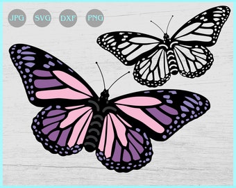 Download Layered Butterfly Svg Etsy PSD Mockup Templates