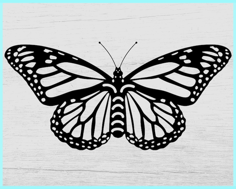 Download Butterfly svg Layered Butterfly svg Butterflies svg | Etsy