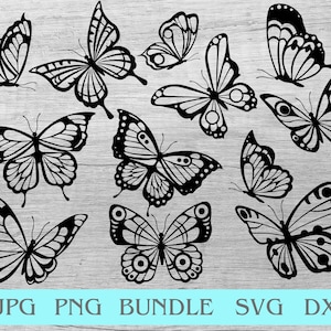 Bundle svg papillon, papillons svg, clipart papillon, version noir et blanc, sublimation papillon, svg Cricut, camée Silhouette