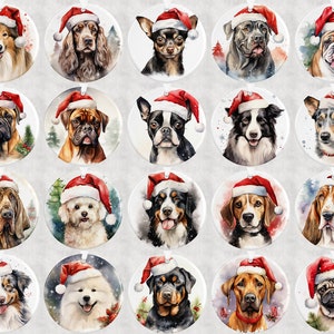 Pode incluir: Vinte e quatro ornamentos de Natal redondos com pinturas em aquarela de v&aacute;rias ra&ccedil;as de c&atilde;es usando chap&eacute;us de Papai Noel. Os ornamentos s&atilde;o brancos com um chap&eacute;u de Papai Noel vermelho e branco em cada c&atilde;o.