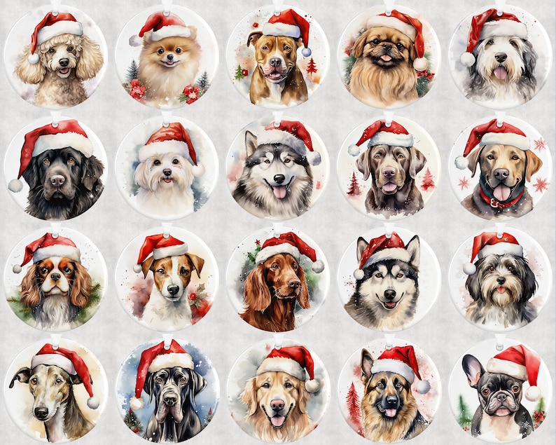 Pode incluir: Vinte e quatro ornamentos de Natal redondos com pinturas em aquarela de v&aacute;rias ra&ccedil;as de c&atilde;es usando chap&eacute;us de Papai Noel. Os ornamentos s&atilde;o brancos com um chap&eacute;u de Papai Noel vermelho e branco em cada c&atilde;o.