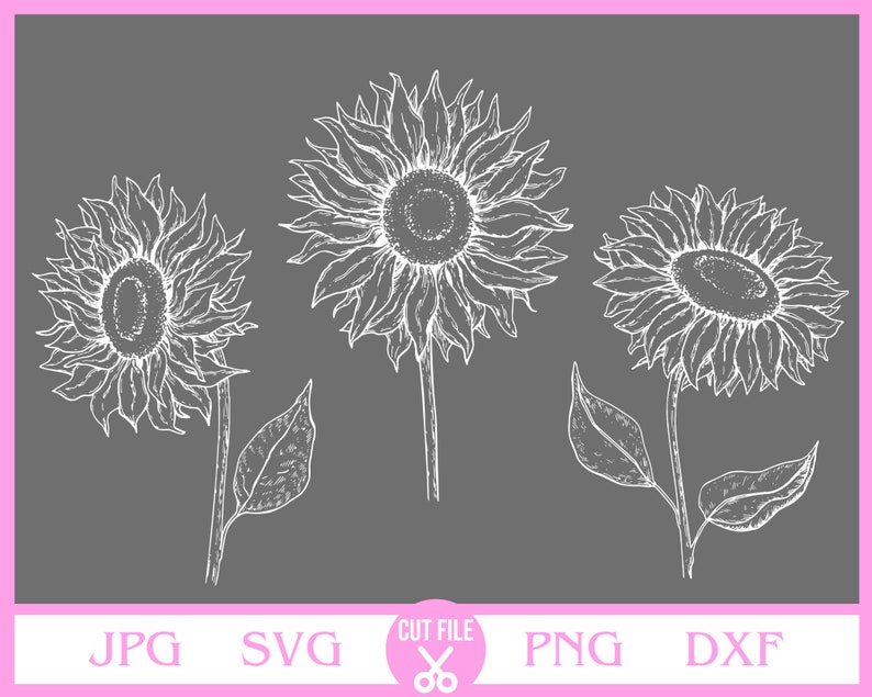 Free Free Silhouette Decal Sunflower Svg SVG PNG EPS DXF File