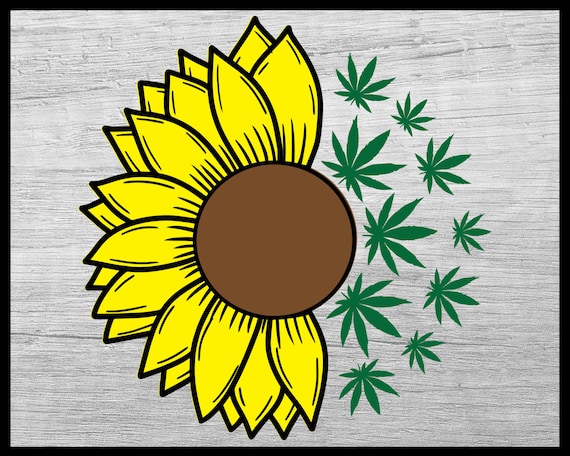 Free Free 340 Sunflower Pot Leaf Svg SVG PNG EPS DXF File