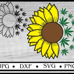 girasol de marihuana svg, girasol de marihuana svg, girasol de cannabis svg, chica fumadora svg, bandeja de liar svg, svg de marihuana, svg de cannabis, svg de droga