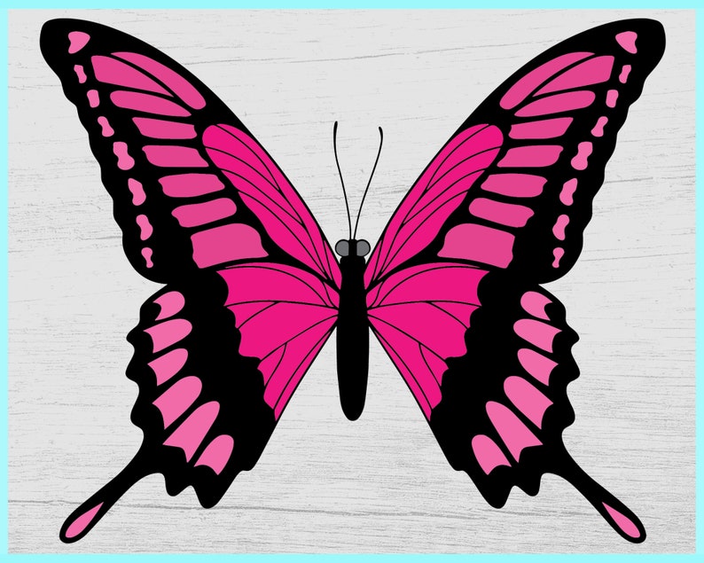 Free Free 93 Butterfly Svg Etsy SVG PNG EPS DXF File