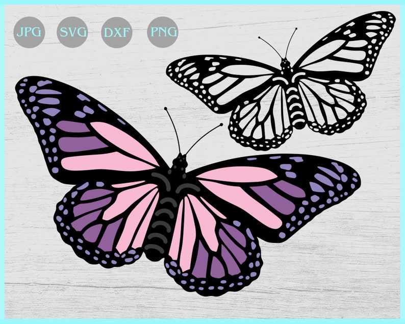 Download Butterfly svg Layered Butterfly svg Butterflies svg | Etsy