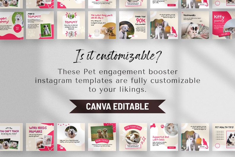 Puede incluir: Una colecci&oacute;n de plantillas de Instagram personalizables con adorables perros y gatos. Las plantillas est&aacute;n dise&ntilde;adas para negocios de mascotas y presentan texto como "Aseo de gatitos", "Consejos de salud para mascotas" y "&iquest;Qui&eacute;n necesita humanos?".