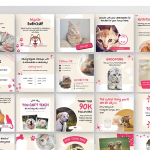 Puede incluir: Una colecci&oacute;n de 16 plantillas de publicaciones de Instagram con adorables gatos y perros. Las plantillas est&aacute;n dise&ntilde;adas en un esquema de color rosa claro y crema con acentos de huellas de patas. El texto en las plantillas incluye frases como "Ejercicio regular", "Aseo", "Nutrici&oacute;n", "S&iacute;gueme", "Cont&aacute;ctame", "Gracias 90K seguidores" y "Dale a tu perro".