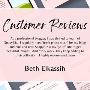 Op de afbeelding: Een lichtroze afbeelding met de woorden "Customer Reviews" in een cursief lettertype. Hieronder prijst de tekst van een professionele blogger SnapyBiz voor het leveren van vers fotomateriaal. De naam van de recensent, Beth Elkassih, staat onderaan.