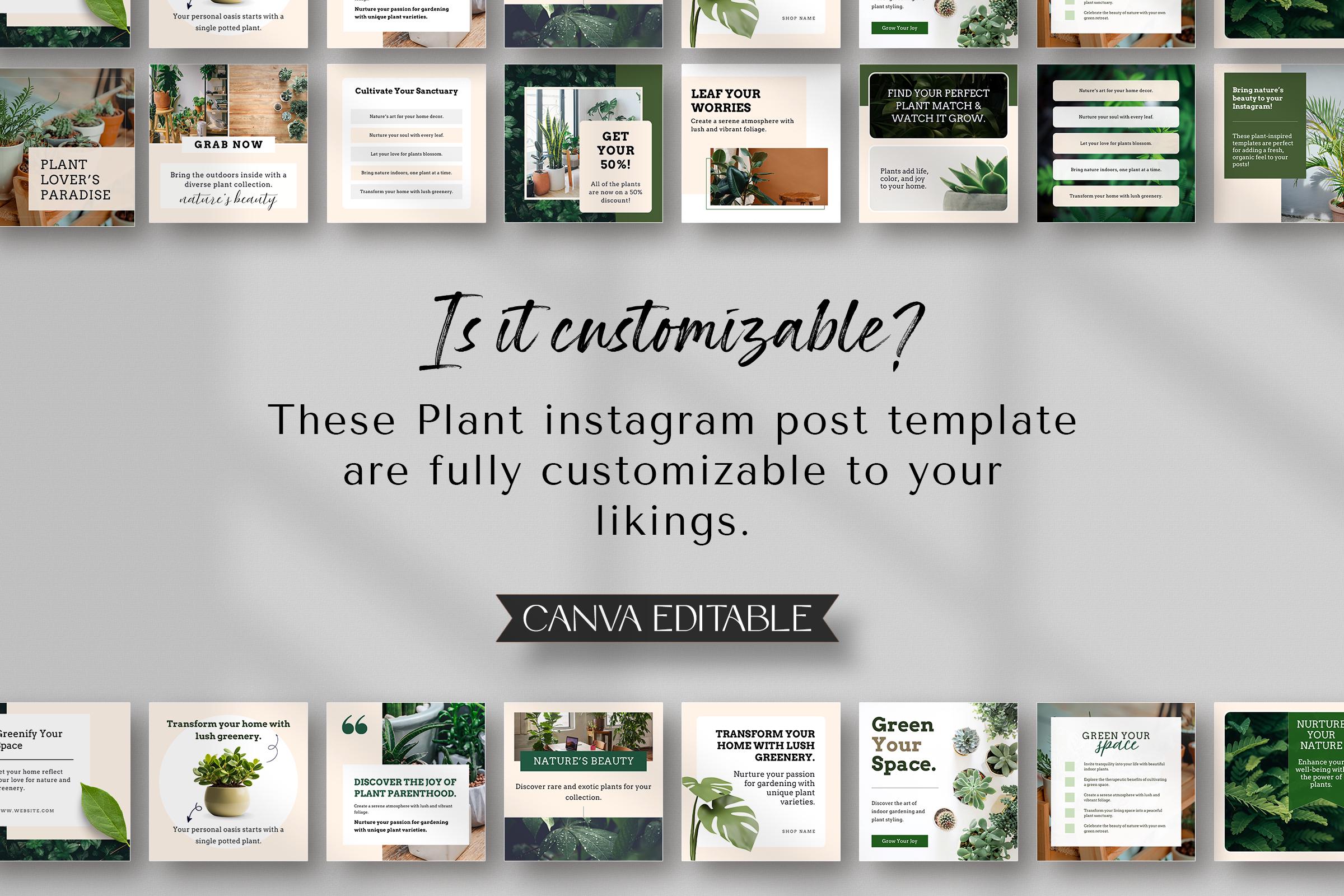 delivery indoor plants Order a Jungle™ – Horti main image 1