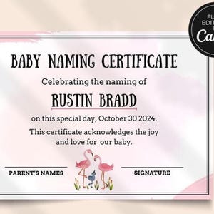 Certificado de nombre de bebé, certificados de bautizo, certificados de bautismo, regalo de nombre de bebé, ceremonia de nombre de bebé judío CT-242
