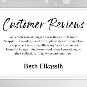 May include: A customer review testimonial for SnapyBiz, a website that provides stock photos for bloggers and social media users. The review states that SnapyBiz is a great resource for finding high-quality images and that the company is constantly adding new content. The review is written by Beth Elkassih.