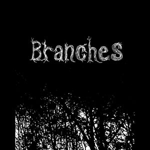 Branches (książka PDF i książka artystyczna)