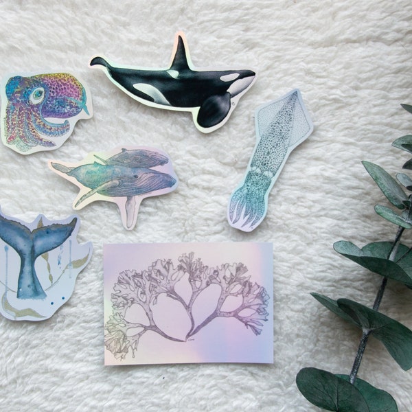 Holografische Sticker, Meeres Aufkleber, Holographic Vinyl Sticker, Bobtail squid, Seaweed, Wal, Orca