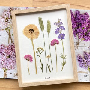 Erbario floreale, erbario incorniciato di fiori e foglie essiccati, designer francese, 18x24 cm, azienda agricola BotaniK, agricoltura biologica