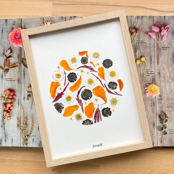 Herbario de flores, herbario enmarcado de flores y hojas secas, diseñador francés, 18 x 24 cm, finca de flores BotaniK, agricultura ecológica.